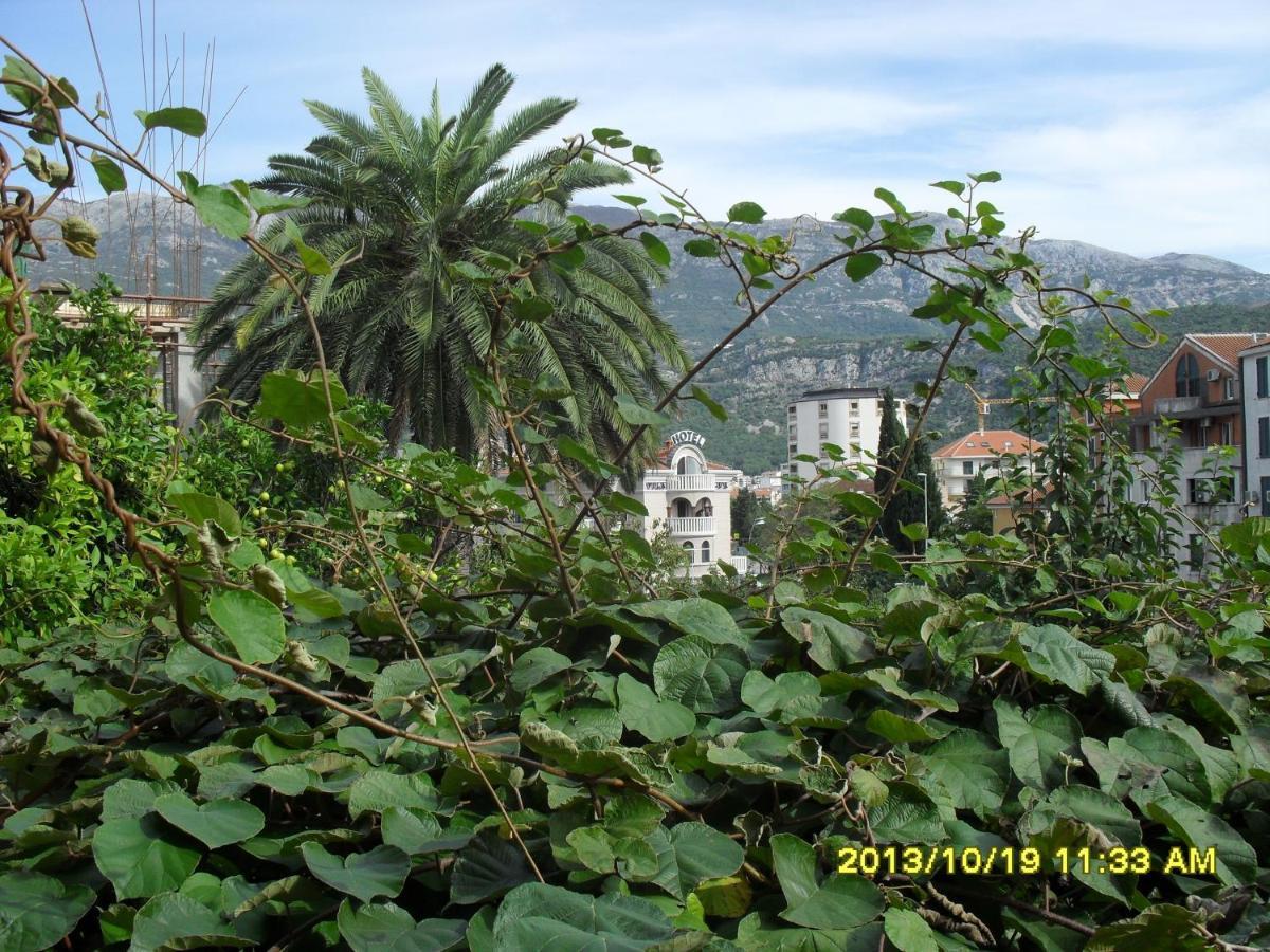 Three Star Budva