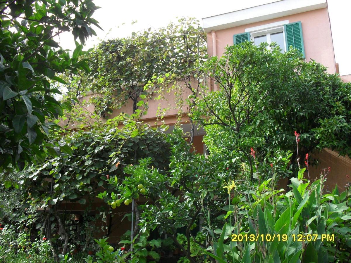 Apartment Three Star Budva
