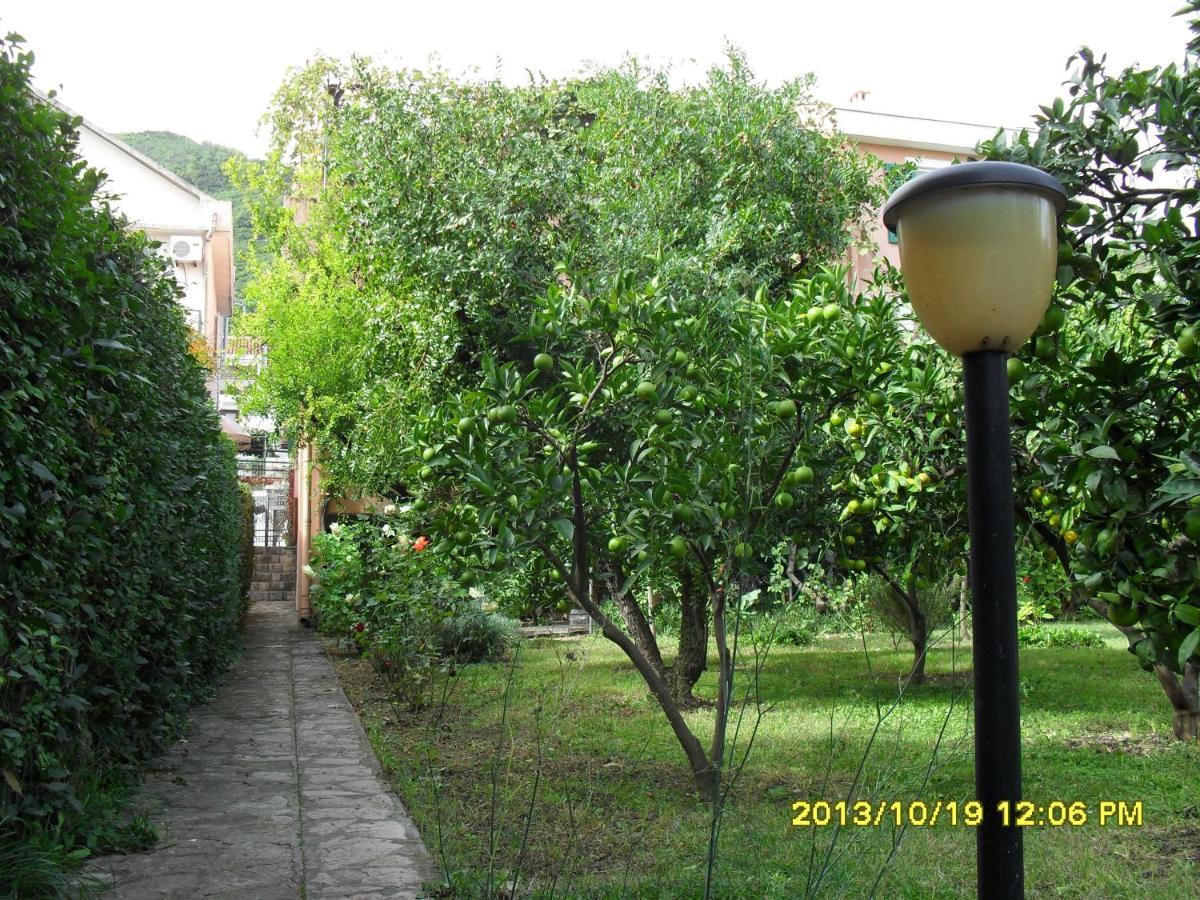 Three Star Budva